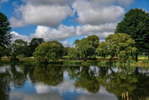 Rose Water Lodge Dam