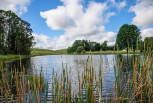 Rose Water Lodge Dam
