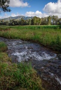 Rose Water Lodge River