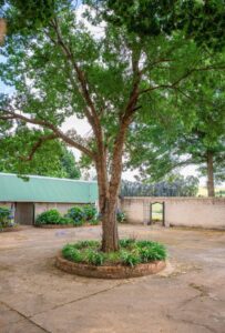 Rose Water Lodge Courtyard