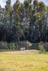 Rose Water Lodge Dam